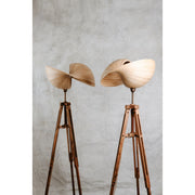 Bamboo tripod floor lamp in two sizes. Kyoto bamboo lighting collection by Collectiviste.